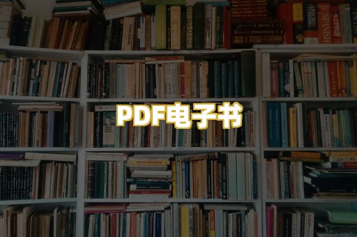 PDF电子书
